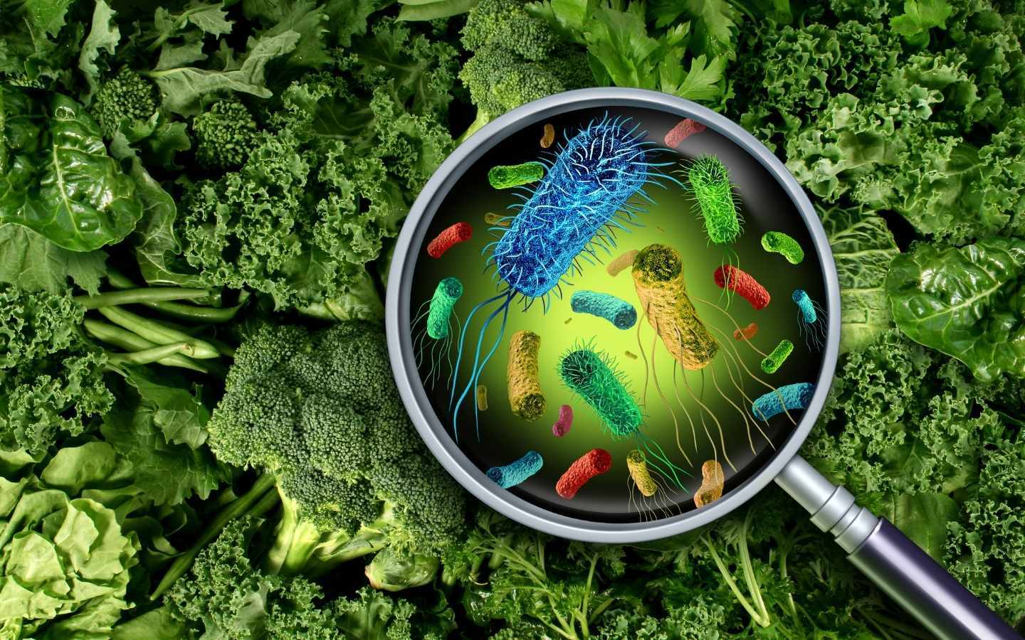 Green vegetables and lettuce laid out with a magnifying glass on top with animation of bacteria in the glass