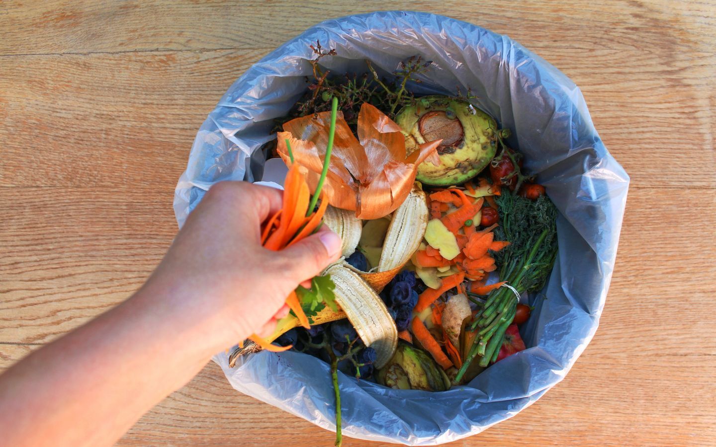 Food waste bin